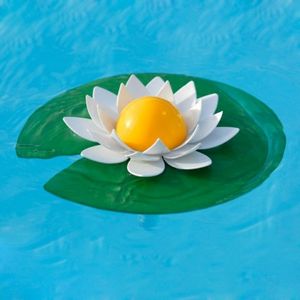 Thermomètre piscine Lotus offre à 8,5€ sur Desjoyaux