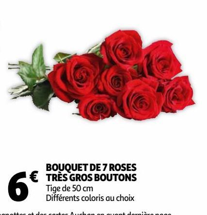 BOUQUET DE 7 ROSES TRÈS GROS BOUTONS