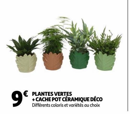 plantes vertes + cache pot ceramique deco