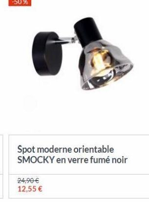 Spot moderne orientable SMOCKY en verre fumé noir  24,90  12,55 