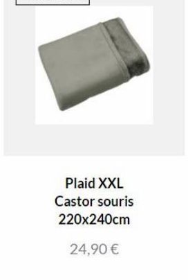Plaid XXL Castor souris 220x240cm  24,90 