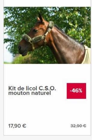 Kit de licol C.S.O. mouton naturel  -46%  17,90   32.90 