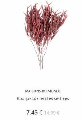 MAISONS DU MONDE Bouquet de feuilles séchées  7,45  14,99 