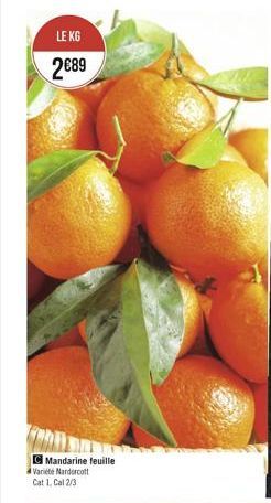 LEKG 2689  Mandarine feuille Varice Nardercott Cat 1. Cal 2/3