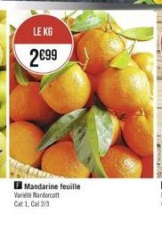 LE KG 299  Mandarine feuille Variete Nardacott Cat 1. Cal 2/3
