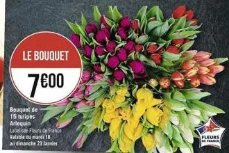 le bouquet  7800  bouquet de 15 tulipes arlequin labelse flours de france valable du mardi 18 au dimanche 23 janvier  fleurs  frame
