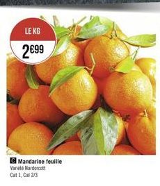 LE KG 2899  Mandarine feuille Variete Nardarcot Cat 1. Ca 2/3