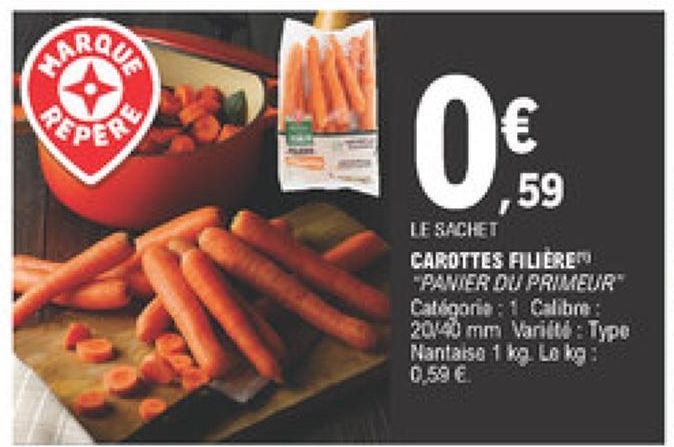 carottes filiere