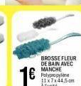 BROSSE FLEUR DE BAIN  AVEC MANCHE Polypropylene 1187:44.5 cm