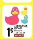 canard canard-duchene