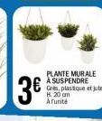 3  PLANTE MURALE A SUSPENDRE Gres, plastique et jute H. 20 om Arunite