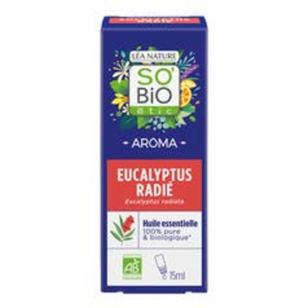 SO'BiO étic Huile essentielle Eucalyptus radié Bio