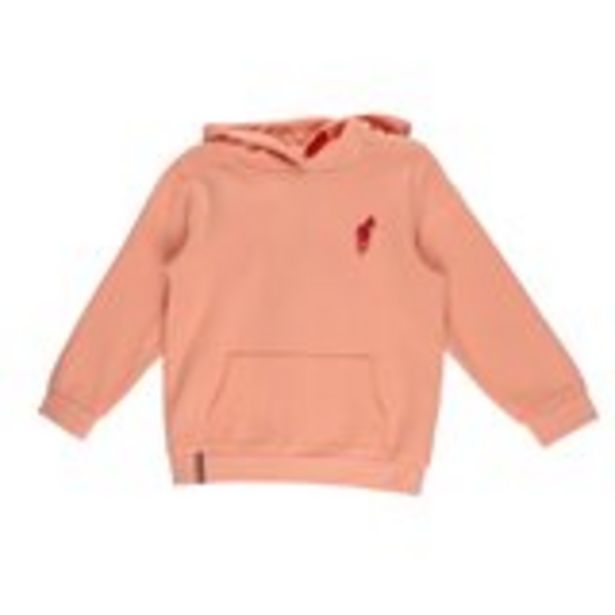 Sweat à capuche 3/6 ans