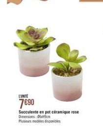 LUNITE  7090  Succulente en pot ceramique rose Dimensions : 069cm Plusieurs modèles disponibles