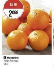 Mandarine Variete Nadarcot Cat1