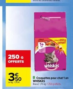 croquettes Whiskas