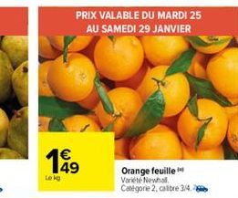 PRIX VALABLE DU MARDI 25  AU SAMEDI 29 JANVIER  1  149 Loke  Orange feuille Varieté  Newhol Catégorie 2, cribre 34.