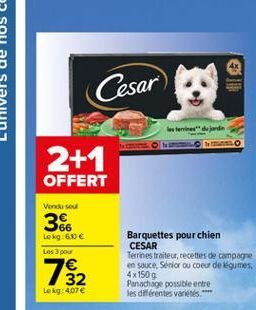 Cesar)  les terres de  2+1  OFFERT  Vanduo  366  Lokg60  Les 3 pou  732  Lokg: 407