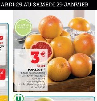 TOT SPICES    3  LE LOT POMELOS Rouge ou Rose (selon amivage en magasin)  Calibre: 48 Le lot de 4 pieces soit la pièce composant  du lot 0,75   U