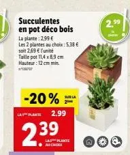 2.99  succulentes en pot déco bois la plante: 2,99  les plantes au choix : 5,38  soit 2,69  l'unité taille pot 114x89 cm hauteur : 12 cm min  surua  -20% ur 2.99  2.39  lapplante và dhara