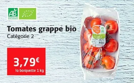 tomates grappe bio
