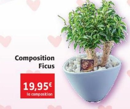 Composition Ficus