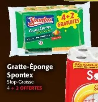 gratte-eponge spontex