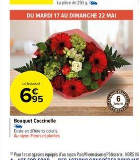 Lebout  6895  040  6  jours  Bouquet Coccinelle Existe en différents coloris. Au rayon Fleurs et plantes
