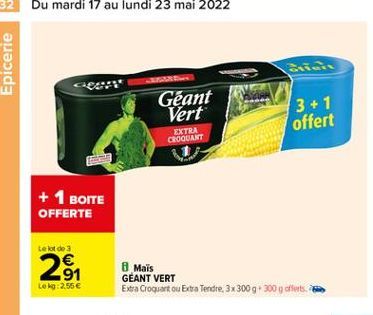 maïs Géant Vert