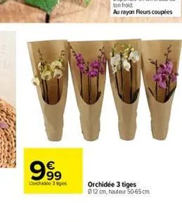 999    lorchide 3 tiges  orchidee 3 tiges  12 cm, hauteur 50-65cm.