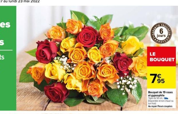 CRAICHE  PORCE  6 jours  CURORE  LE  BOUQUET    95  Bouquet de 19 roses et gypsophile Tiges de 50 cm Disponble en ton chaud ou ton froid Au rayon Fleurs couples