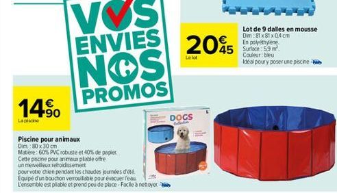 promos Dim