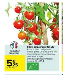 Production française  Plants potagers greffes BIO Pot de 2 Chow de legumes et tomates grelles. Les pants grelles sont sélectionnes pour mieux résister aux maledes du potager Existe aussi plantes aroma