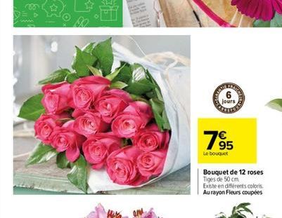 jours  1985  Le bout  Bouquet de 12 roses Tiges de 50 cm Existe en différents coloris. Aurayon Fleurs coupées