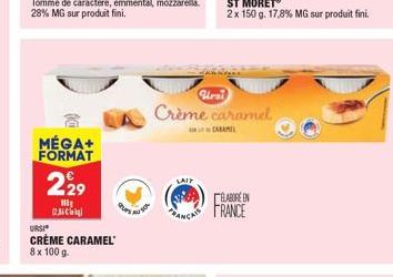 Sirsi Crème caramel  MÉGA+ FORMAT  229  LAIT  CRAREN FRANCE  Riley URSI CRÈME CARAMEL 8x 1009