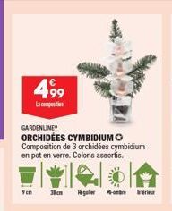 49,  paates  GARDENLINE ORCHIDÉES CYMBIDIUM O Composition de 3 orchidées cymbidium en pot en verre. Coloris assortis.  Pom  Pigalle Maher