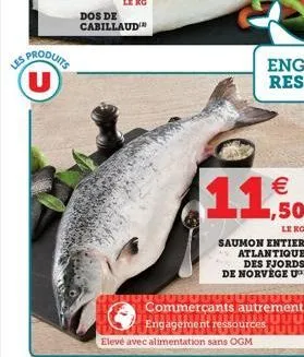 ss produtos  u    11,50  leko saumon entier  atlantique  des fjords  de norvege u ?????? uuuuuuun commerçants autrement  dului engagement ressources eleve avec alimentation sans ogm