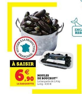 moules