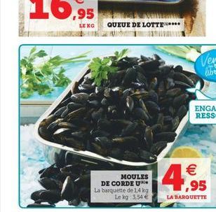 LERG  QUEUE DE LOTTE*****  MOULES DE CORDE UN La banquette de 1,4 kg  Le kg 3.54   4