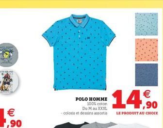 polo homme