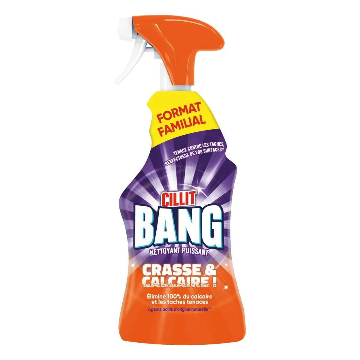 spray anti moissisures cilit bang