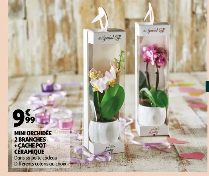 mini orchidée 2 branches + cache pot céramique