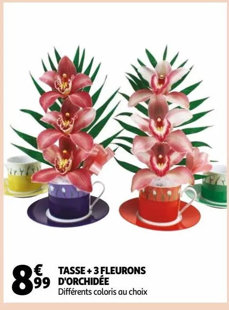 tasse + 3 fleurons d'orchidée