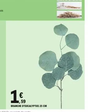  1,59  branche d'eucalyptus 25 cm