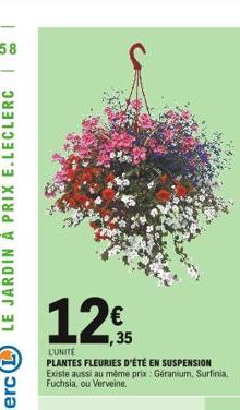 125  35  L'UNITÉ  PLANTES FLEURIES D'ÉTÉ EN SUSPENSION Existe aussi au même prix : Géranium, Surfinia, Fuchsia, ou Verveine.