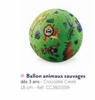 BALLON ANIMAUX SAUVAGES