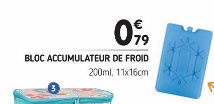 Bloc accumulateurs de froid