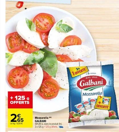 mozzarella Galbani