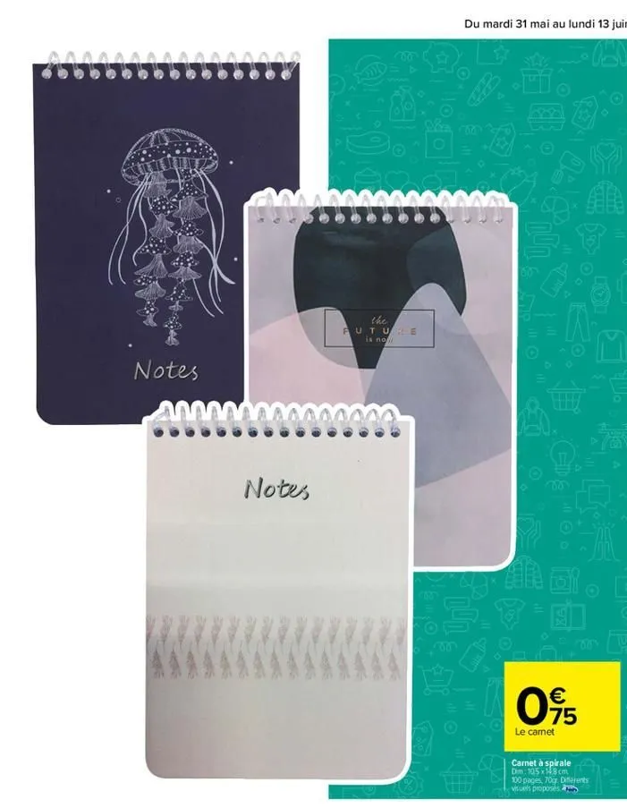 notes  m  notes  www  the future is now  60  co  60   75  le carnet  carnet à spirale  dm: 105x14.8 cm  100 pages, 70g. differents  visuels proposés