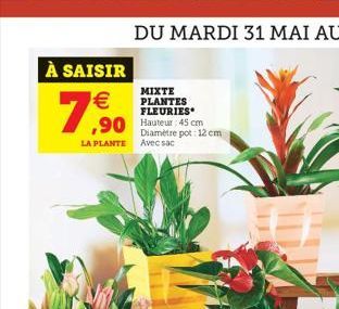 À SAISIR    7,9?0